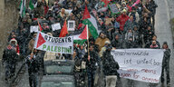 Teilnehmer einer propalästinensischen Demonstration halten Plakate und Fahnen hoch