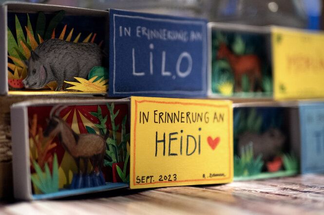 Streichholzschachteln, die bunt bemalt und beschriftet sind. Sie sind aufgezogen. Im Inneren der oberen Schachtel ein Schwein und auf der Hülle ein Gedenkspruch an "Lilo". Darunter im Inneren eine Ziege und auf der Hülle eine Erinnerung an "Heidi".