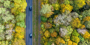 Luftaufnahme mit einer Drohne: Zwei Autos fahren über eine Landstraße zwischen herbstlich gefärbten Bäumen