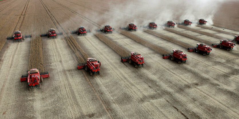 zwei Reihen von landwirtschaftlichen machienen ernten Soja