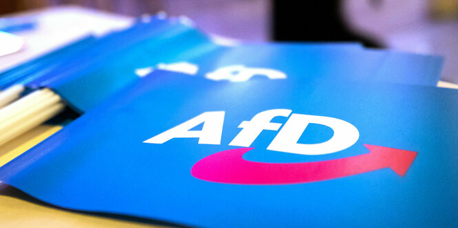 Fähnchen mit dem Logo der AfD liegen auf einem Tisch.