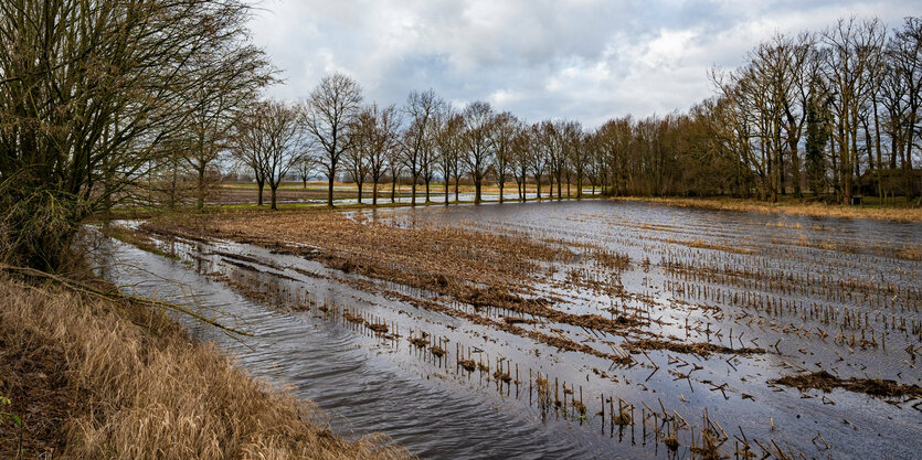 Wasserflächen auf einem Feld.