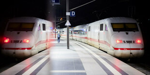 Zwei Züge in einem Bahnhof.