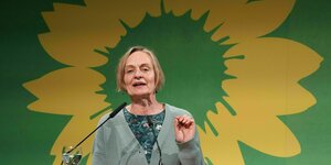 Petra Budke steht an einem Rednerpult, im Hintergrund ist das grün, gelbe Sonnenblumen-Logo der Grünen zu sehen.