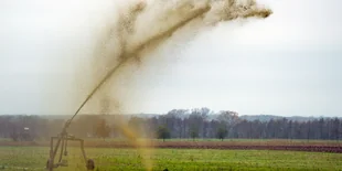 Phosphat im Essen: Behrden wiegeln ab | taz.de