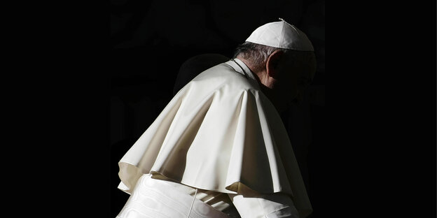 Papst Franziskus im Schatten