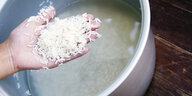 Eine Hand, die gewaschenen Reis zeigt, darunter ein Reiskocher