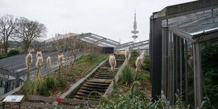 Die Schaugewächshäuser in Planten un Blomen, dahitner die Bucerius Law School