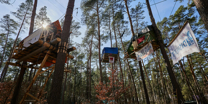 Baumhäuser im Protest-Camp der Initiative «Tesla stoppen» in einem Kiefernwald nahe der Tesla-Fabrik Berlin-Brandenburg.