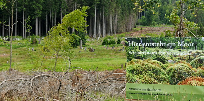 Ein Feld- und Wiesenstück mit dem Schild: Hier entsteht ein Moor