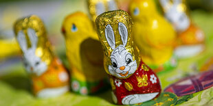 Schoko-Osterhasten stehen auf einem Tisch - der vordere Schoko-Osterhase grinst hämisch