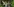 Drei Teenager im Wald, das Mädchen macht ein Selfie von sich und den beiden jungen Männern