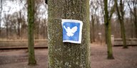 Ein Stofffetzen mit einer weissen Friedenstaube auf blauem Hintergrund ist um einen Baum gebunden