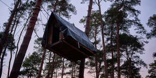 Ein Baumhaus der Waldbesetzer von "Tesla stoppen" in schwindelnder Höhe