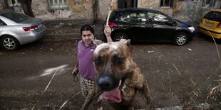 Ein Hund springt Richtung Kamerlinse, dahinter steht ein Mann.