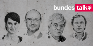 Köpfe von Tanja Tricarico, Daniel Bax, Klaus Hillenbrand und Stefan Reinecke