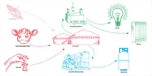 Eine Infografik zum Thema Biogas