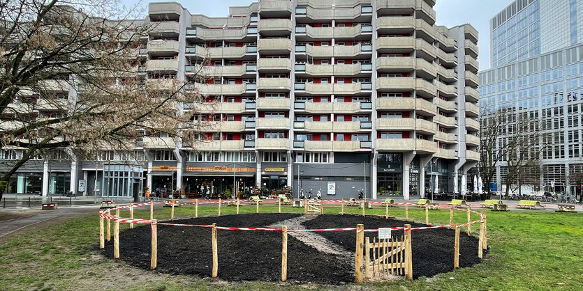 Der neu angelegte Tiny Forest vor einem Hochhaus am Spittelmarkt