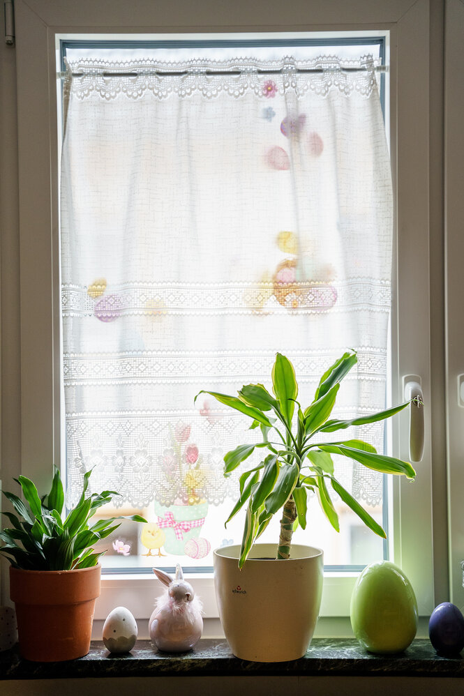 Gardinen vor einem Fenster