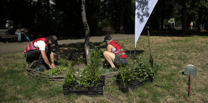 Die Parkhausmeister Parkhausmeister*innen Oliver Both-Asmus und Steph Wintz pflanzen Blumen im Park Hasenheide in Neukoelln, Berlin. Seit August 2020 sind die Parkpfleger bzw. Parkhausmeister vom Prinzessiinnengaerten kollektiv Berlin unter dem Motto Fair
