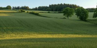 Bewirtschaftete Felder mit Hecken und Bäumen