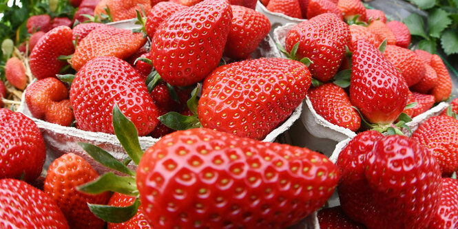 Erdbeeren liegen in Papierschachteln