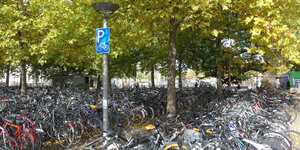 Dutzende nebeneinander geparkte Fahrräder stehen auf einem Fahrradparkplatz unter Bäumen.
