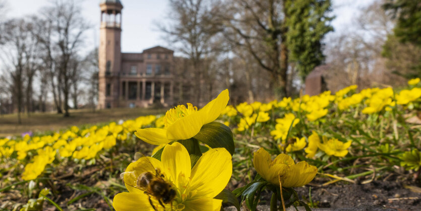 Das bild zeigt den Schlosspark Biesdorf