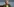 Ursula von der Leyen spricht in ein Mikrofon