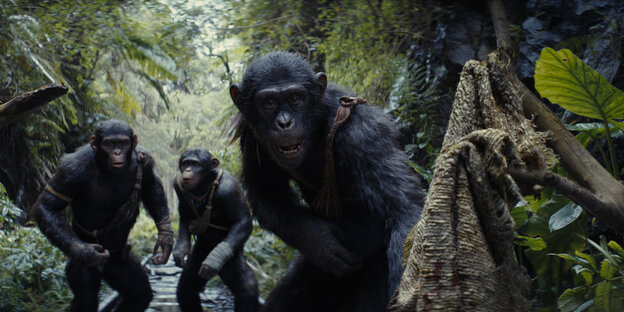Schimpansen mit Knüppeln im Wald. Szene aus "Planet der Affen: New Kingdom"
