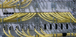 Netzwerkkabel stecken in einem Server