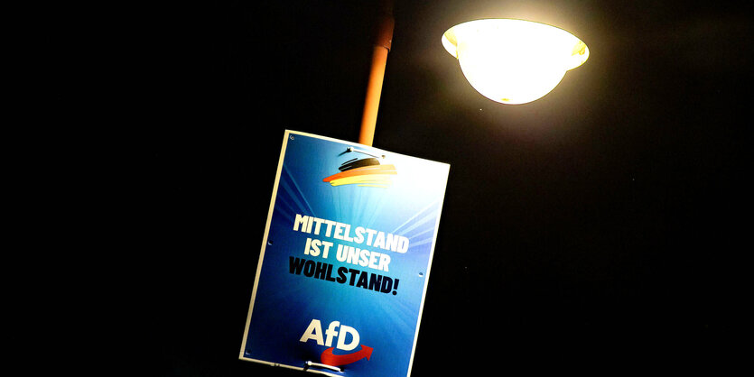 Ein Wahlplakat der AfD hängt an einem Laternenmast in der Nacht - die Lampe leuchtet