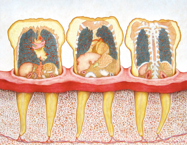 Wie in einer medizinischen Zeichnung sieht man Zähne und ihre Wurzeln