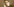 Porträt Rudolf Steiner.