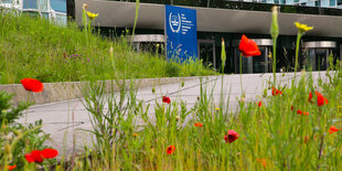 Dienstgebäude des Internationalen Strafgerichtshofs in Den Haag. Im Vordergrund Mohnblumen