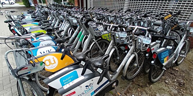 Viele Fahrräde stehen in zwei langen Reihen.