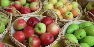 Äpfel unterschiedlicher Sorten und Birnen werden in Körbchen zum Kauf angeboten