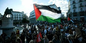 Demonstranten schwenken die Fahen Palästinas