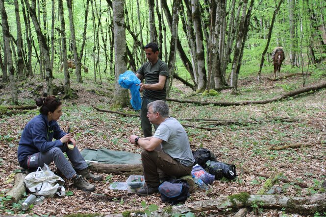 Drei Personen machen im Wald Rast.