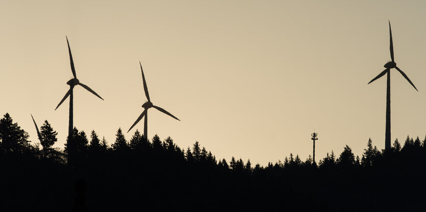 Windräder in einem Waldgebiet bei Freiburg