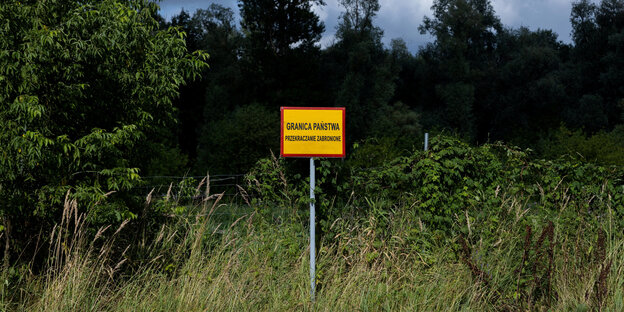 Schild in der Nähe des Flusses Bug an der polnisch-weißrussischen Grenze, in der Nähe von Kostomloty, Polen, 20. Juli 2023. Auf dem Schild steht: "Staatsgrenze. Überqueren verboten".