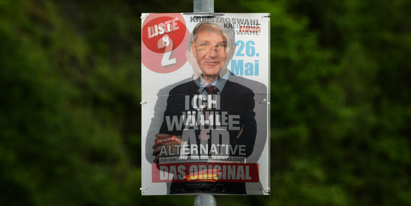 Montage von zwei Wahlplakaten von Karlheinz Frosch und Björn Höcke