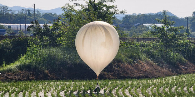 Ein weißer mutmaßlich nordkoreanischer Ballon mit einer unbekannten Ladung ist am Mittwoch in einem südkoreanischen Reisfeld gelandet
