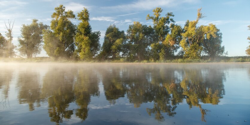 Bäume spiegeln sich im Wasser.