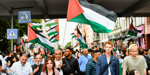 Das Bild zeigt eine pro-palästinensische Demonstration