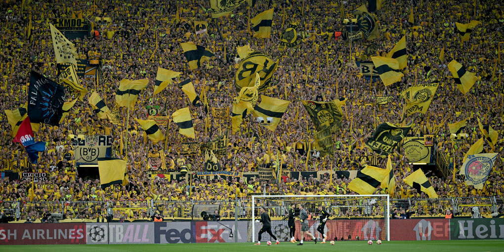 Dortmundfans im Stadion