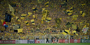 Dortmundfans im Stadion