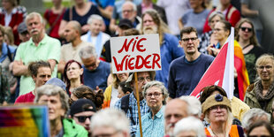 Plakat auf Demo gegen AfD "Nie Wieder"