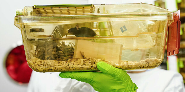 Eine Mitarbeiterin eines Labors hält einen Käfig mit Mäusen.