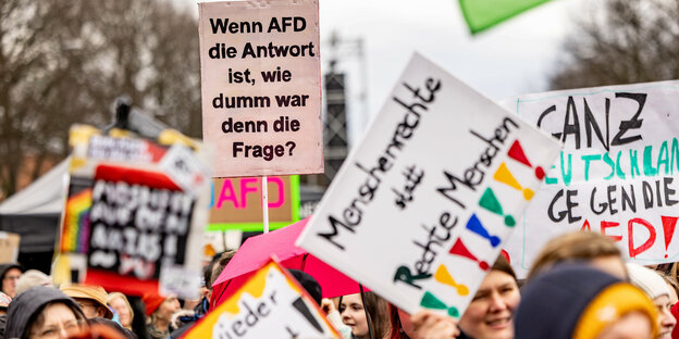Protestierende auf einer Demo halten Plakate gegen die AfD in die Höhe